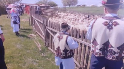 Serbare câmpenească tradițională la Nermed: Etnicii carașoveni marchează măsuratul oilor