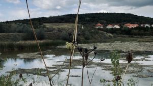 Proiectul Land4Climate intră într-o nouă etapă