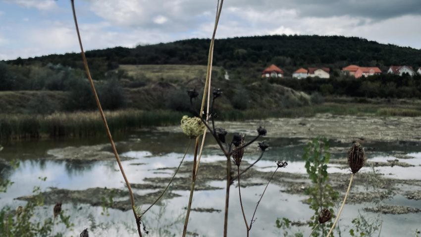 Proiectul Land4Climate intră într-o nouă etapă Proiectul Land4Climate intră într-o nouă etapă