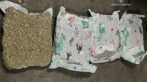 Timişoara: Doi tineri au fost arestaţi preventiv după ce au introdus în România, cu ajutorul unei firme de curierat, 21 kilograme de cannabis