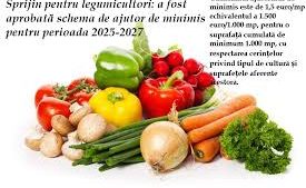 Fermierii care cultivă legume în spaţii protejate pot primi 1.500 de euro pentru fiecare 1.000 mp – Termenul de depunere al cererilor este disponibil până pe 30 mai!