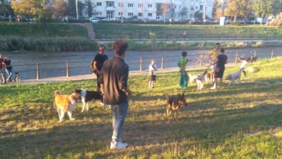 Târg de adopții canine în Parcul Rozelor din Timișoara