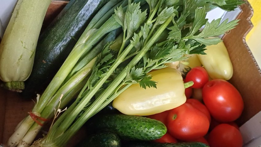 Lădița cu bunătăți – legume proaspete și gustoase, direct de la producător la consumator Lădița cu bunătăți – legume proaspete și gustoase, direct de la producător la consumator
