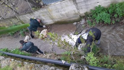 „Împreună pentru un oraș mai curat” în Moldova Nouă