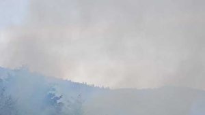 Incendiu forestier la Nădrag, județul Timiș