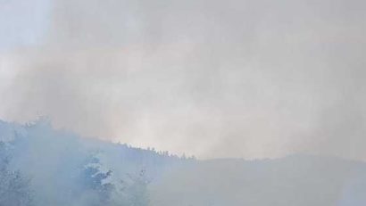 Incendiu forestier la Nădrag, județul Timiș