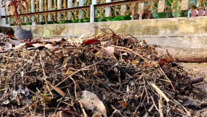 Timișoara: Tarif redus la jumătate pentru deșeurile vegetale