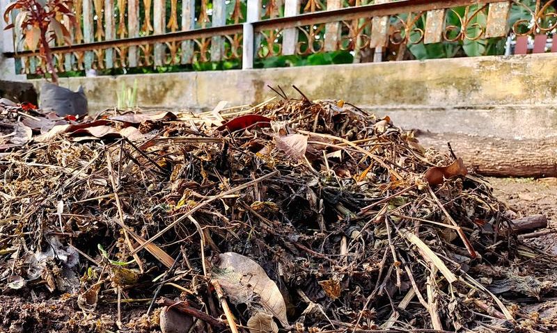 Timișoara: Tarif redus la jumătate pentru deșeurile vegetale Timișoara: Tarif redus la jumătate pentru deșeurile vegetale
