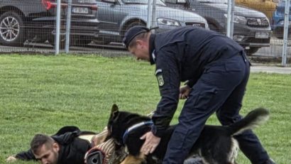 Câinele de serviciu Thor al IJJ Caraş-Severin a absolvit cu nota 10 cursul de patrulare și intervenție de la Centrul Chinologic Sibiu