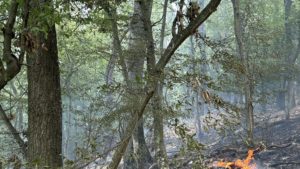 Incendiu de vegetație la Berzasca: Intervenție în desfășurare pentru a treia zi consecutivă