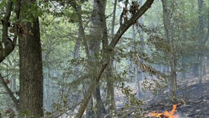 Intervenție aeriană la Berzasca: Incendiu într-o zonă protejată din Parcul Natural Porțile de Fier