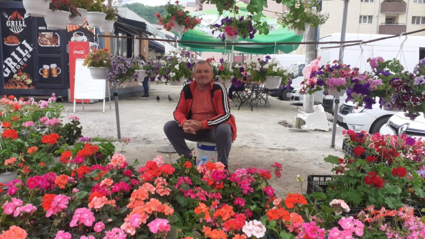 Flori în loc de legume: Schimbare de direcție în agricultura din Caraș-Severin. Află aici povestea lui Ionel Ianca, producător din Fârliug Flori în loc de legume: Schimbare de direcție în agricultura din Caraș-Severin. Află aici povestea lui Ionel Ianca, producător din Fârliug