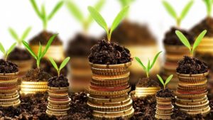 APIA: Au început plățile pentru sprijinul cuplat: Peste 60 de milioane de euro pentru fermieri