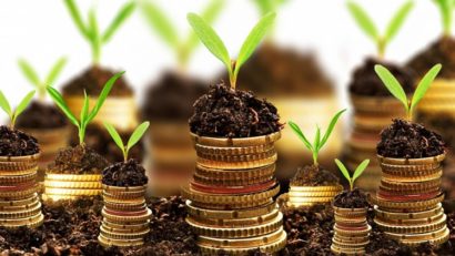 APIA: Au început plățile pentru sprijinul cuplat: Peste 60 de milioane de euro pentru fermieri