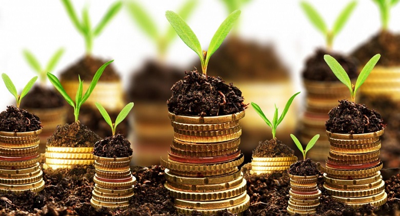 APIA: Au început plățile pentru sprijinul cuplat: Peste 60 de milioane de euro pentru fermieri APIA: Au început plățile pentru sprijinul cuplat: Peste 60 de milioane de euro pentru fermieri