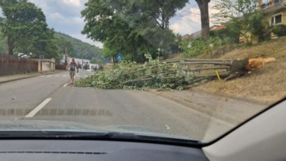 Pagube provocate de vânt puternic la Caransebeș și Reșița: Copaci rupți și acoperișuri smulse de rafale