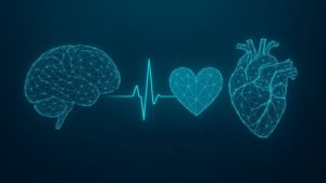 România adoptă prima Strategie Națională pentru reducerea bolilor cardiovasculare și cerebrovasculare