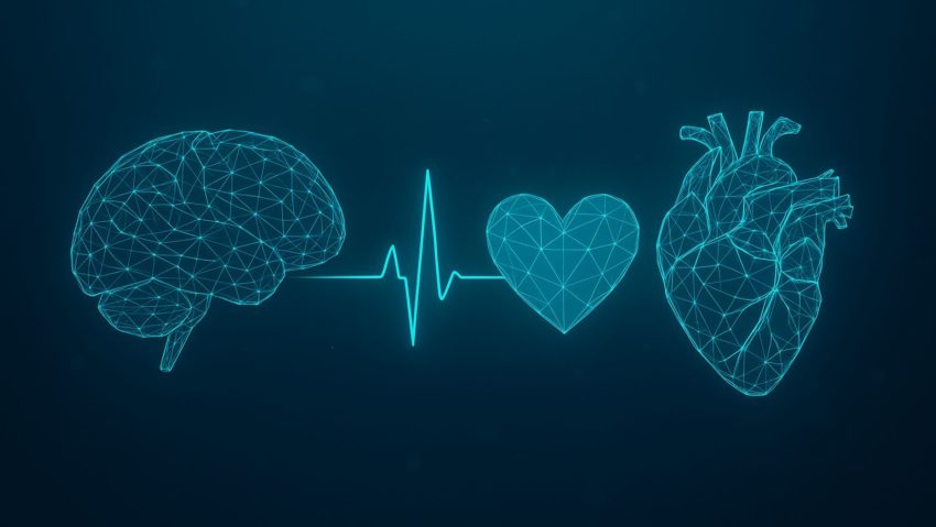 România adoptă prima Strategie Națională pentru reducerea bolilor cardiovasculare și cerebrovasculare România adoptă prima Strategie Națională pentru reducerea bolilor cardiovasculare și cerebrovasculare