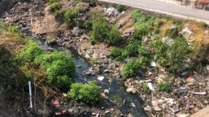 Peste 300 de controale efectuate de ABA Banat în prima jumătate a anului 2025
