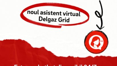 Delgaz Grid lansează asistentul virtual DELIA: suport digital non-stop pentru clienți, parte a strategiei de digitalizare