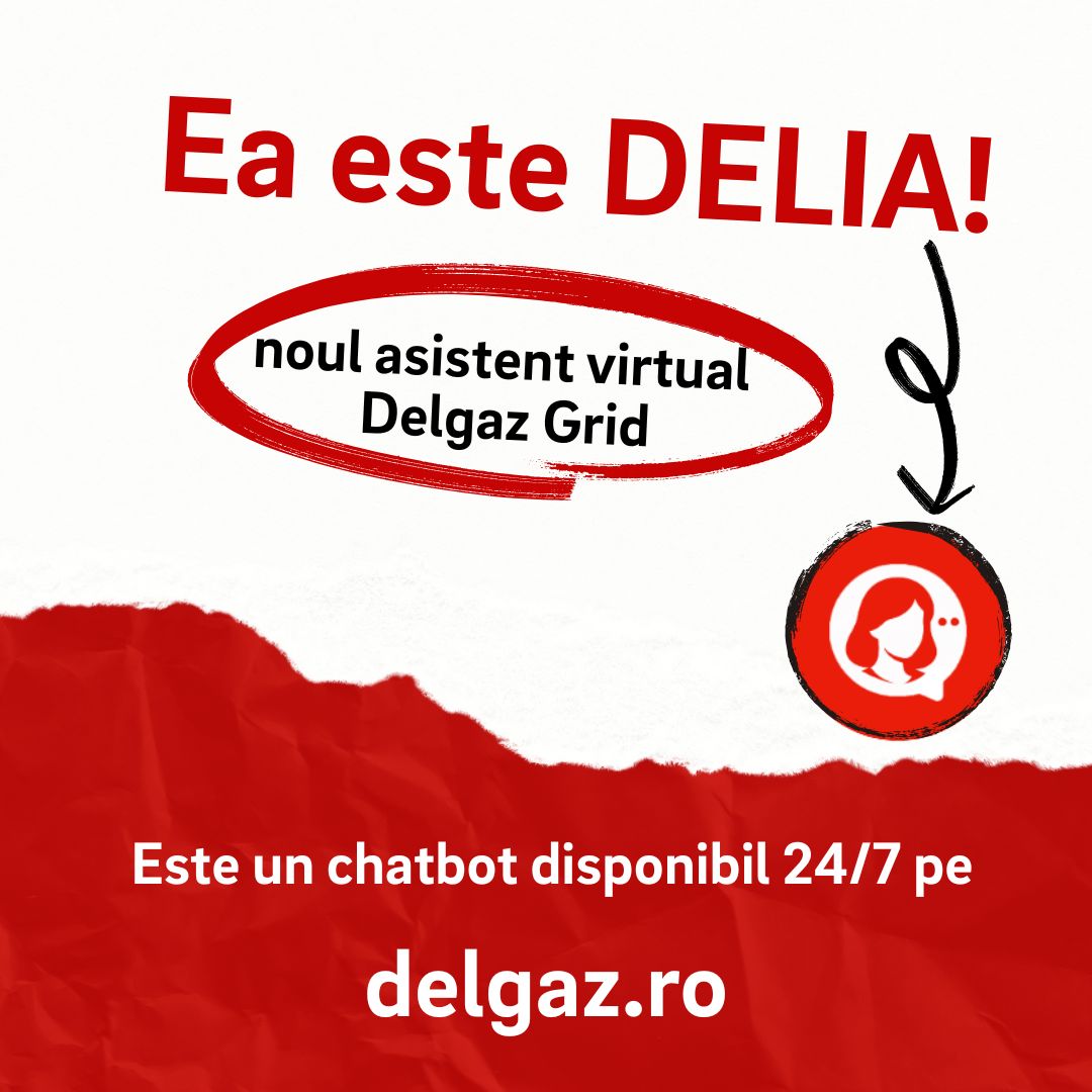 Delgaz Grid lansează asistentul virtual DELIA: suport digital non-stop ...