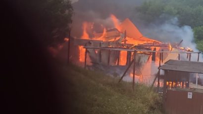 ISU Caraş-Severin: 14 intervenții în 24 de ore