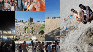 Taberele studențești Costinești 2025: Reșița, Arad și Oradea unite pentru educație și socializare