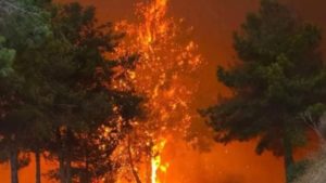 Cipru, în flăcări: Sudul insulei, devastat de cel mai grav incendiu de vegetație din ultimii 50 de ani