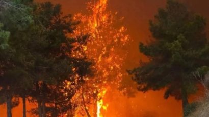 Cipru, în flăcări: Sudul insulei, devastat de cel mai grav incendiu de vegetație din ultimii 50 de ani