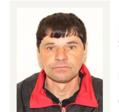 Autoritățile din Caraș-Severin și Mehedinți caută un bărbat dispărut din Băile Herculane