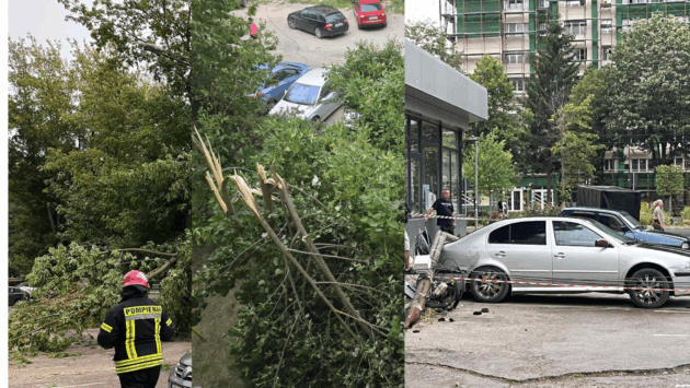 Furtuna a făcut ravagii în vestul țării: mașini avariate, drumuri blocate și intervenții de urgență în Caraș-Severin și Timiș
