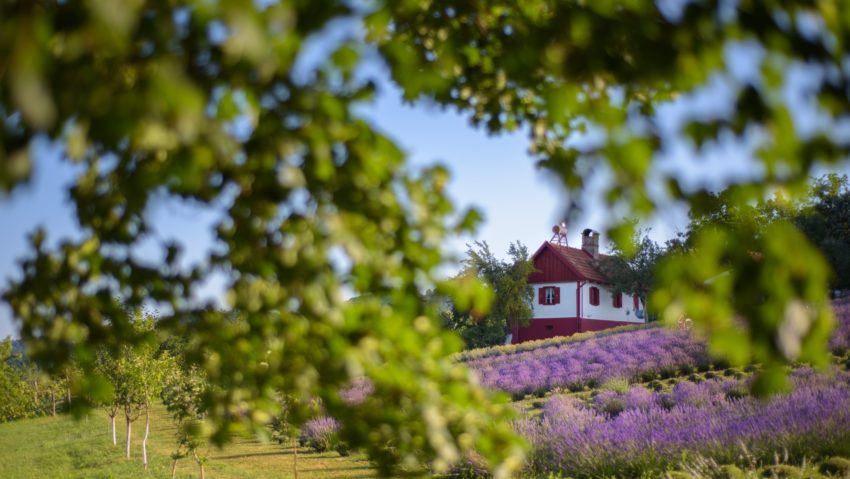 Concurs de fotografie: „Frumusețea rurală prin obiectivul tău”, la Caraşova Concurs de fotografie: „Frumusețea rurală prin obiectivul tău”, la Caraşova