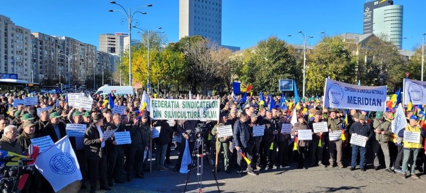 Trei federaţii sindicale organizează marţi un miting de protest în Piaţa Victoriei Trei federaţii sindicale organizează marţi un miting de protest în Piaţa Victoriei