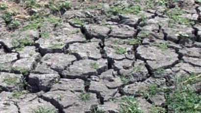 Secetă extremă în județul Arad: Râurile Teuz și Timercea au secat complet, iar fântânile oamenilor rămân fără apă
