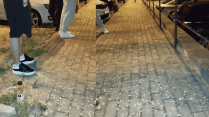 1.000 de lei amendă pentru aruncarea cojilor de semințe în zona centrală a Reșiței