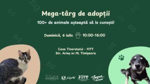 Eveniment de adopții în Timișoara: zeci de animale își caută o familie