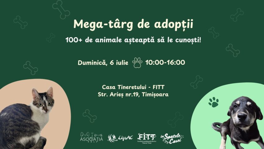 Eveniment de adopții în Timișoara: zeci de animale își caută o familie Eveniment de adopții în Timișoara: zeci de animale își caută o familie