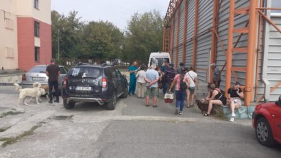 Campanie gratuită de sterilizare a câinilor și pisicilor la Reșița – o iniţiativă mereu binevenită