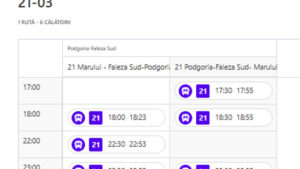 Transport public pentru Festivalul Rock Maris Arad 2025 : Linia 21 spre Faleza Sud