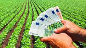 Fermierii din Uniunea Europeană vor beneficia de plăți în avans mai mari din fonduri europene