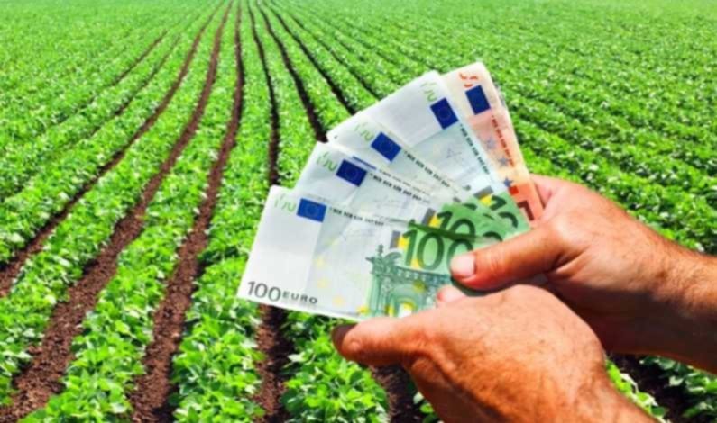 Fermierii din Uniunea Europeană vor beneficia de plăți în avans mai mari din fonduri europene Fermierii din Uniunea Europeană vor beneficia de plăți în avans mai mari din fonduri europene