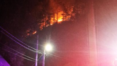 Incendiile de vegetație fac ravagii în Caraș-Severin și Timiș