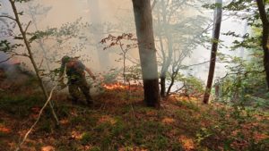 Incendiu de vegetație la Văliug: intervenție aeriană cu elicopter Black Hawk și 22 de aruncări cu apă