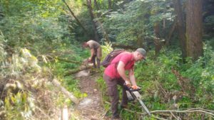 Lucrări de igienizare și reparații pe traseele turistice din Parcul Național Semenic–Cheile Carașului