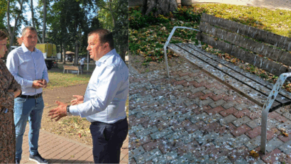 Primăria Lugoj caută soluții pentru invazia ciorilor și porumbeilor din parcuri