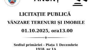 Primăria Reșița scoate la licitație terenuri și imobile pe 1 octombrie 2025