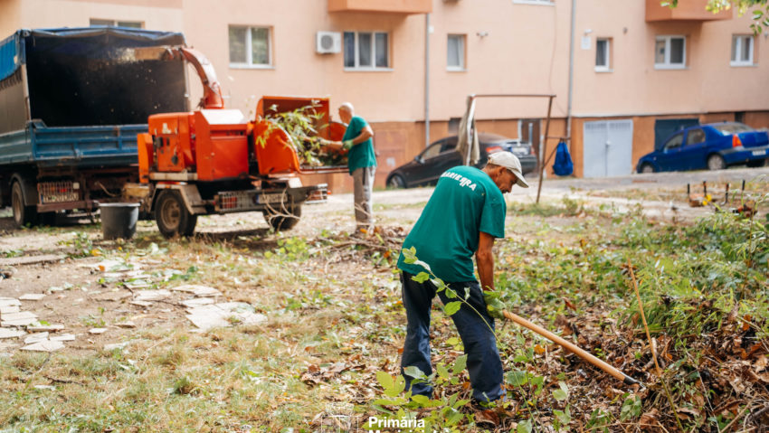 Timișoara verde: Primăria continuă întreținerea spațiilor verzi dintre blocuri