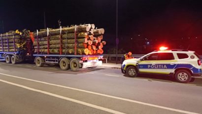 Acțiune de amploare a Poliției la Reșița: peste 50 de sancțiuni aplicate și lemn confiscat