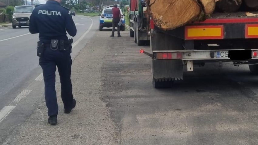 Caraș-Severin: sancțiuni de zeci de mii de lei și lemn confiscat în urma verificărilor silvice Caraș-Severin: sancțiuni de zeci de mii de lei și lemn confiscat în urma verificărilor silvice