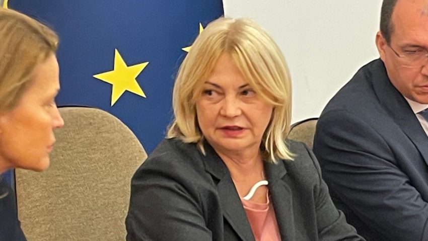 Cornelia-Elena Micicoi este noul prefect al județului Timiș